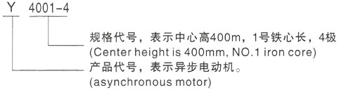 西安泰富西玛Y系列(H355-1000)高压Y5007-4/1120KW三相异步电机型号说明